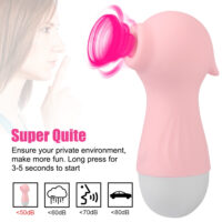 Vibrador Estimulador Sugador de Clitóris e Mamilo Recarregável USB Potente Sucção - Imagem 2