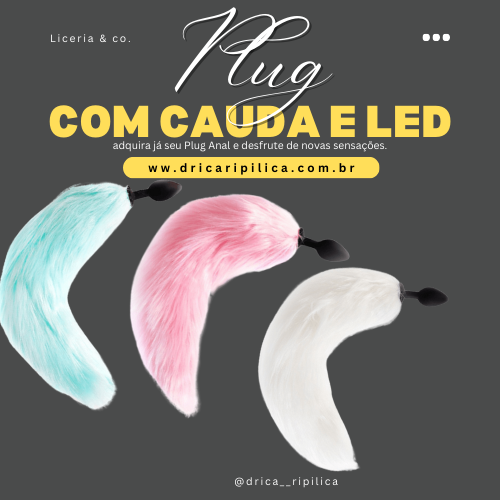 Plug Anal De Luxo Com Cauda Com Led Importação